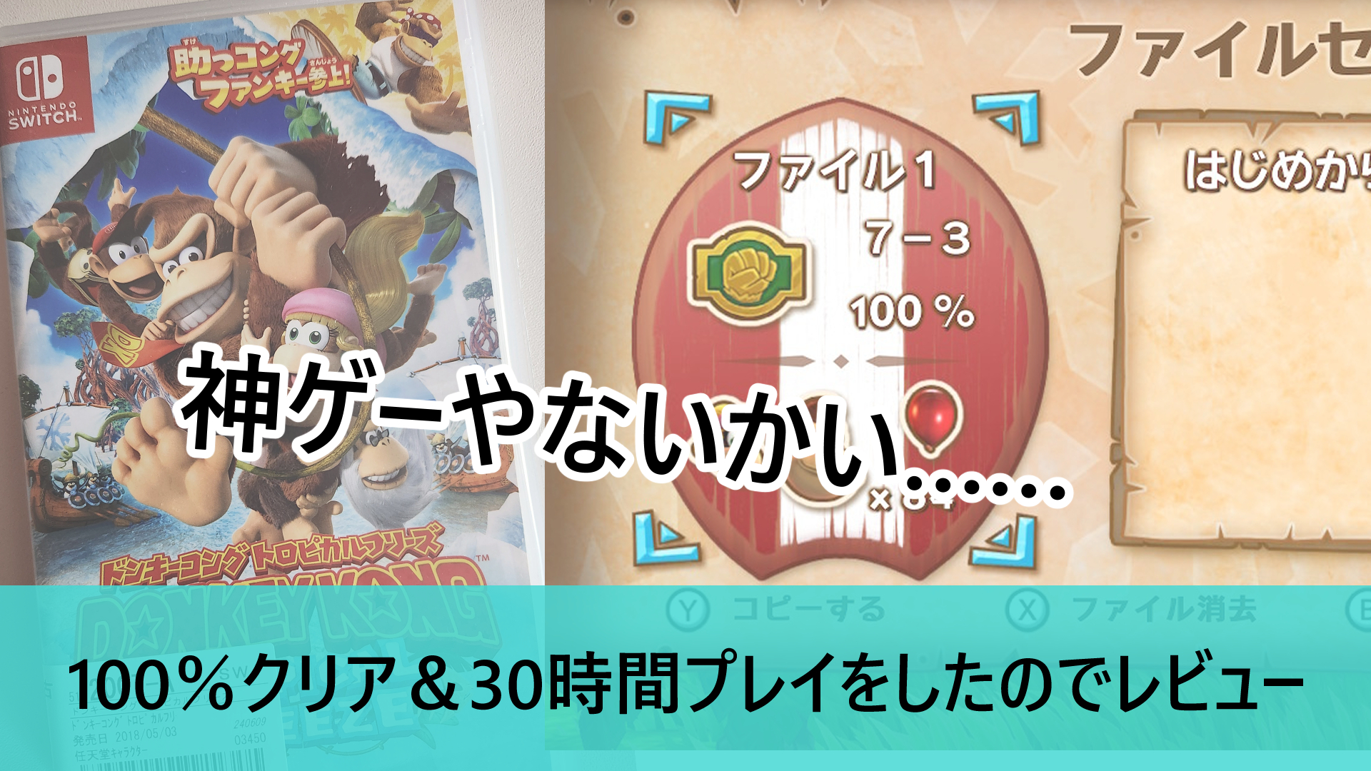クレムリン軍団ファンがドンキーコングトロピカルフリーズをプレイしてみた結果…… | みずぶろぐ